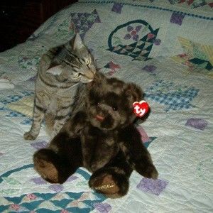 Meet your Posher, Teri